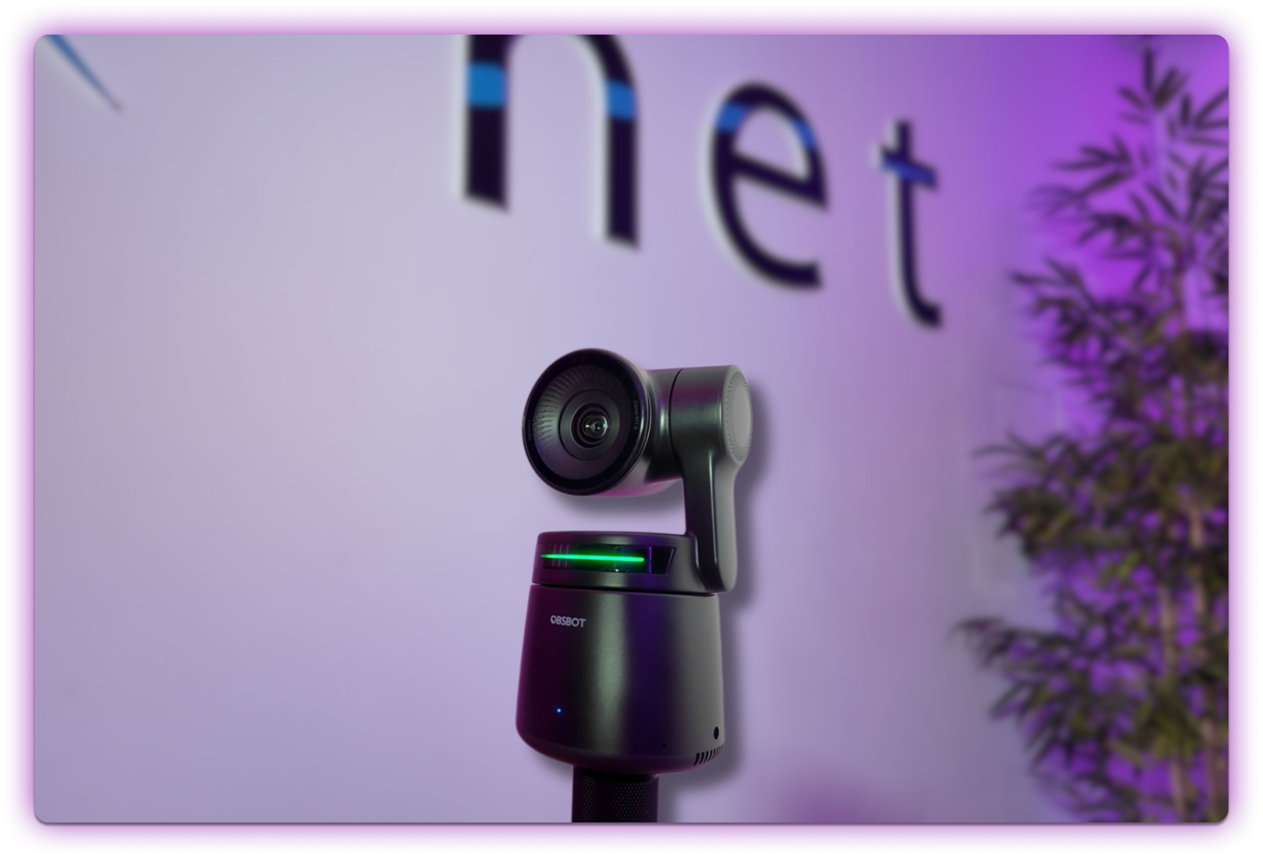 Cámaras OBSBOT Tail Air para podcast profesional: guía de configuración